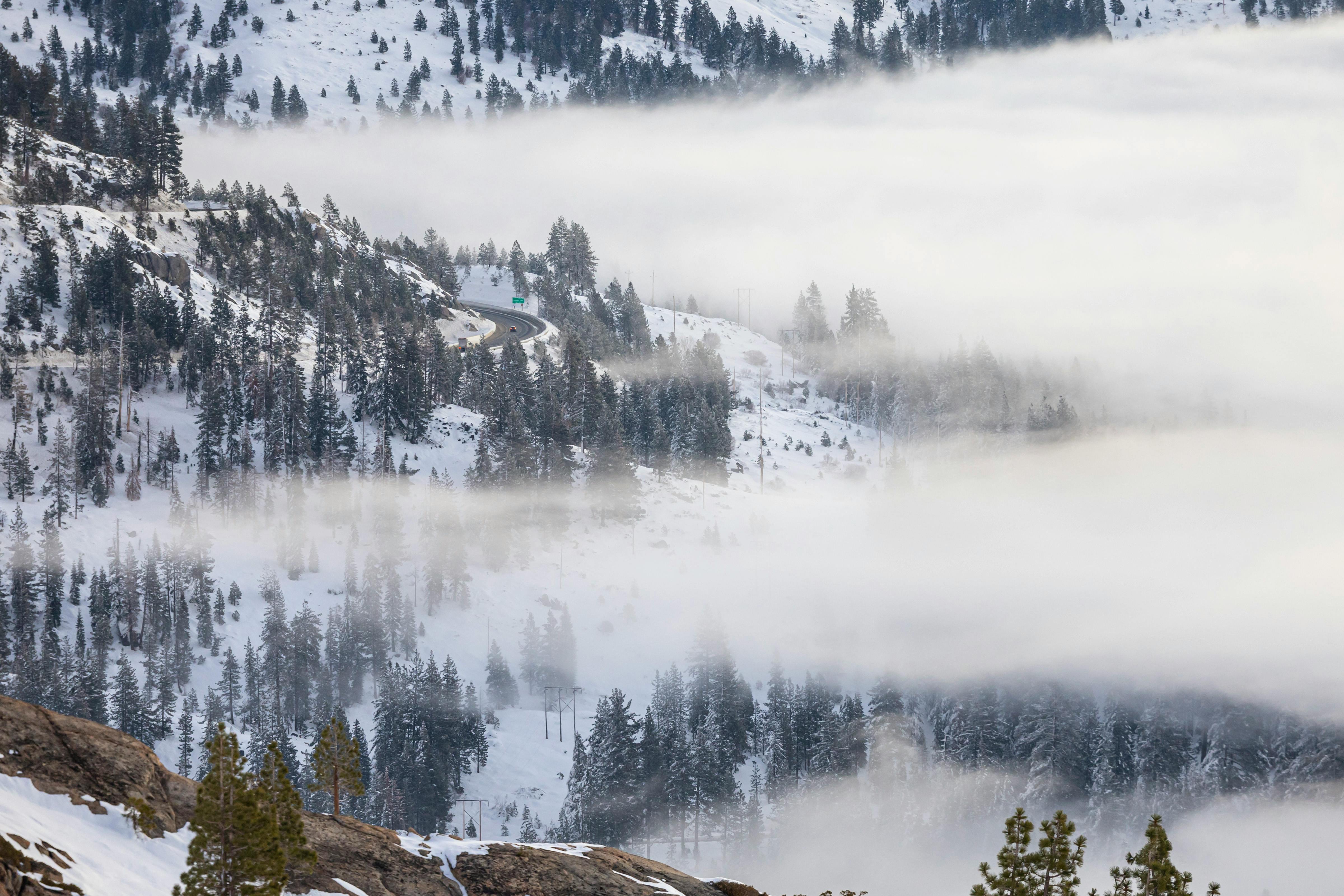 Foggy winter morning over snowy mountains of Donner Pass, a stunning natural scene in California.