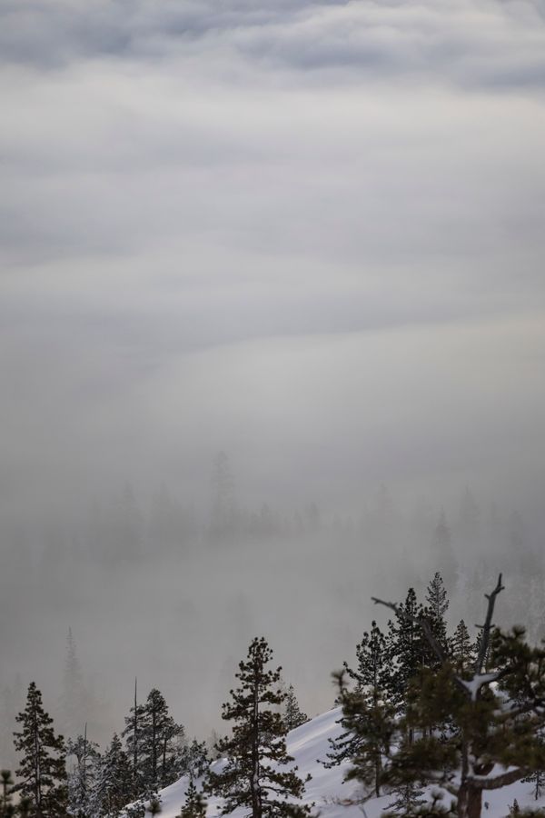Fog over a pine ridge — photo by Stephen Leonardi on Pexels