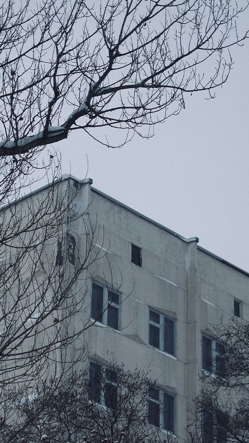Free A snowy day showcasing a concrete apartment building and bare tree branches. Stock Photo