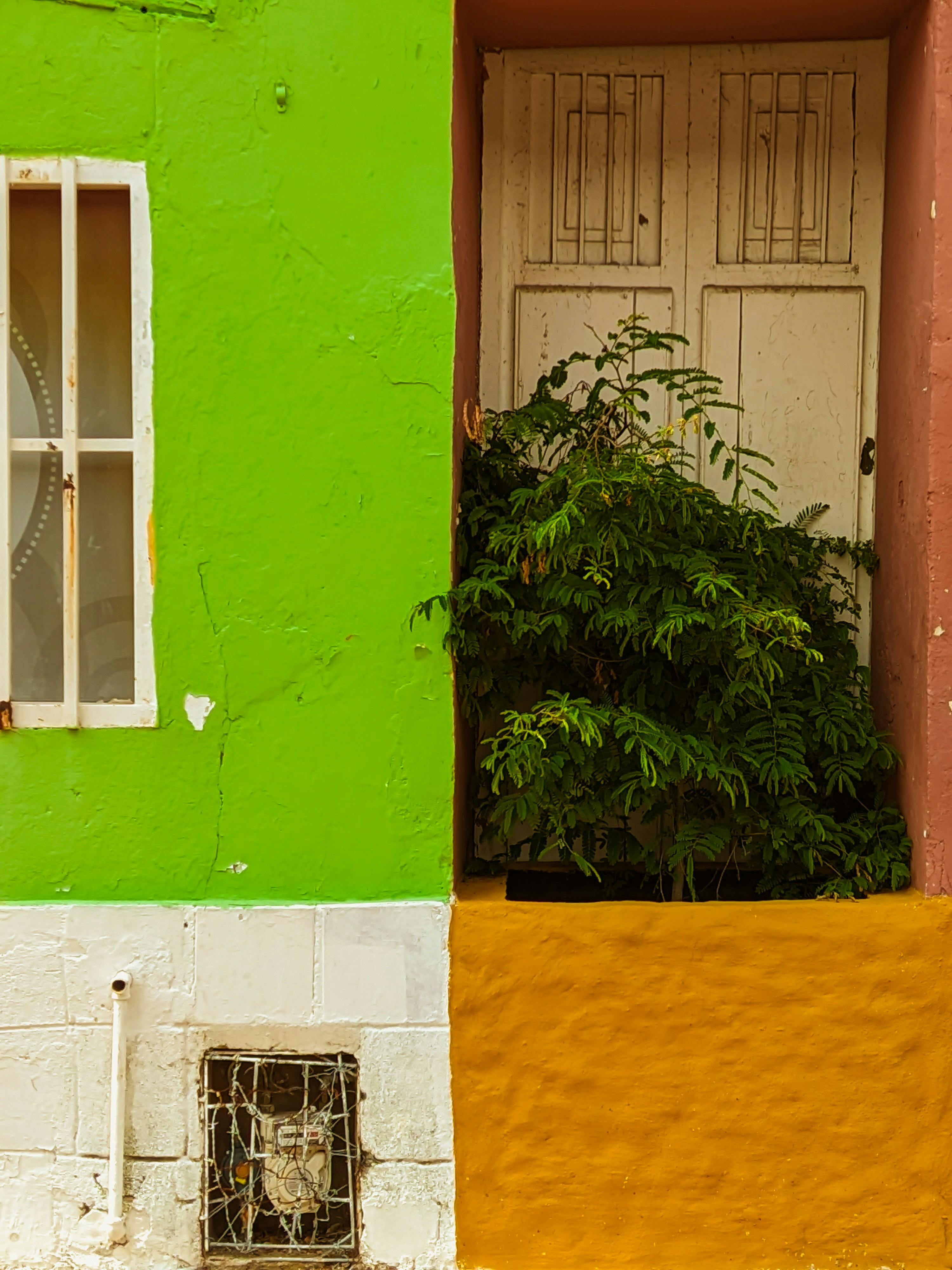 Материалы для создания качественных рам