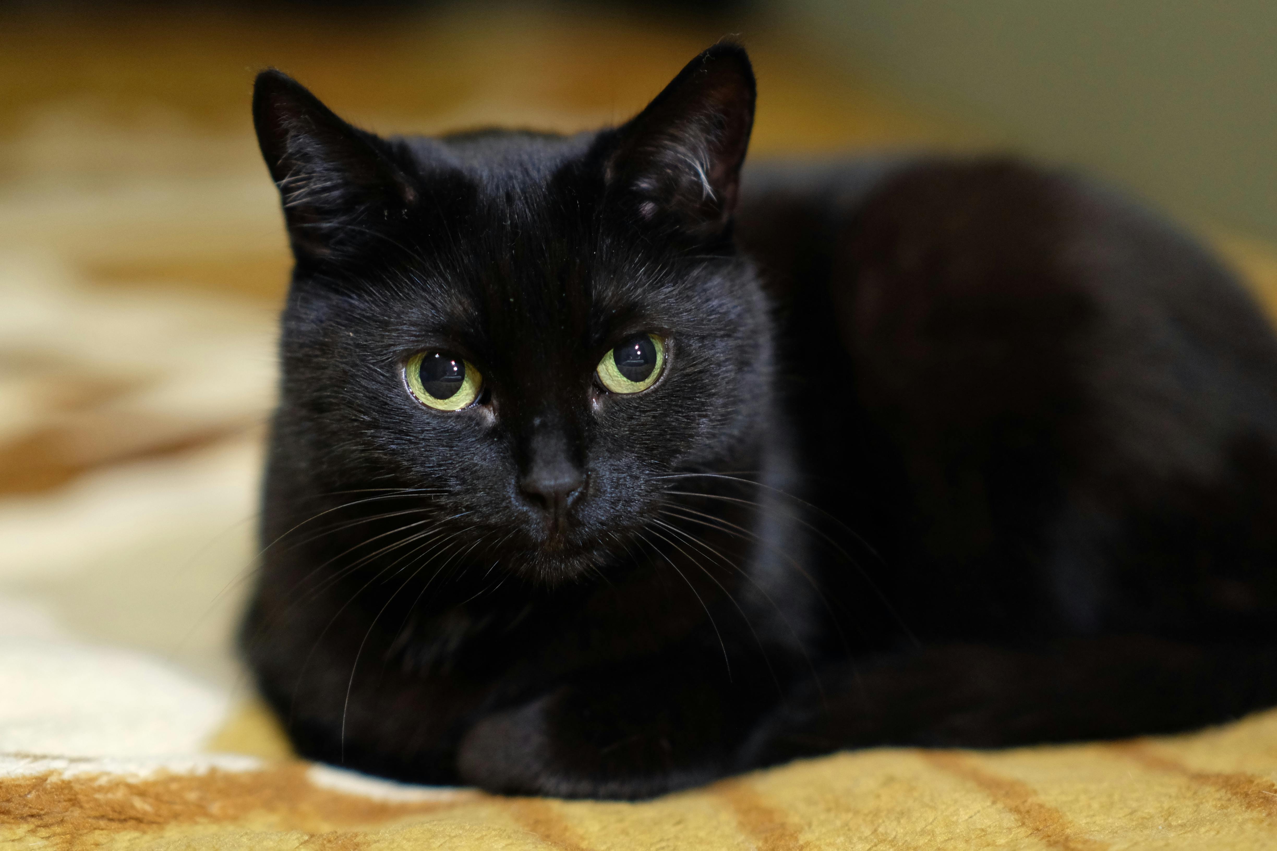 Финансовые аспекты