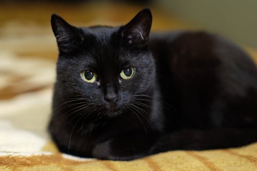 Финансовые аспекты