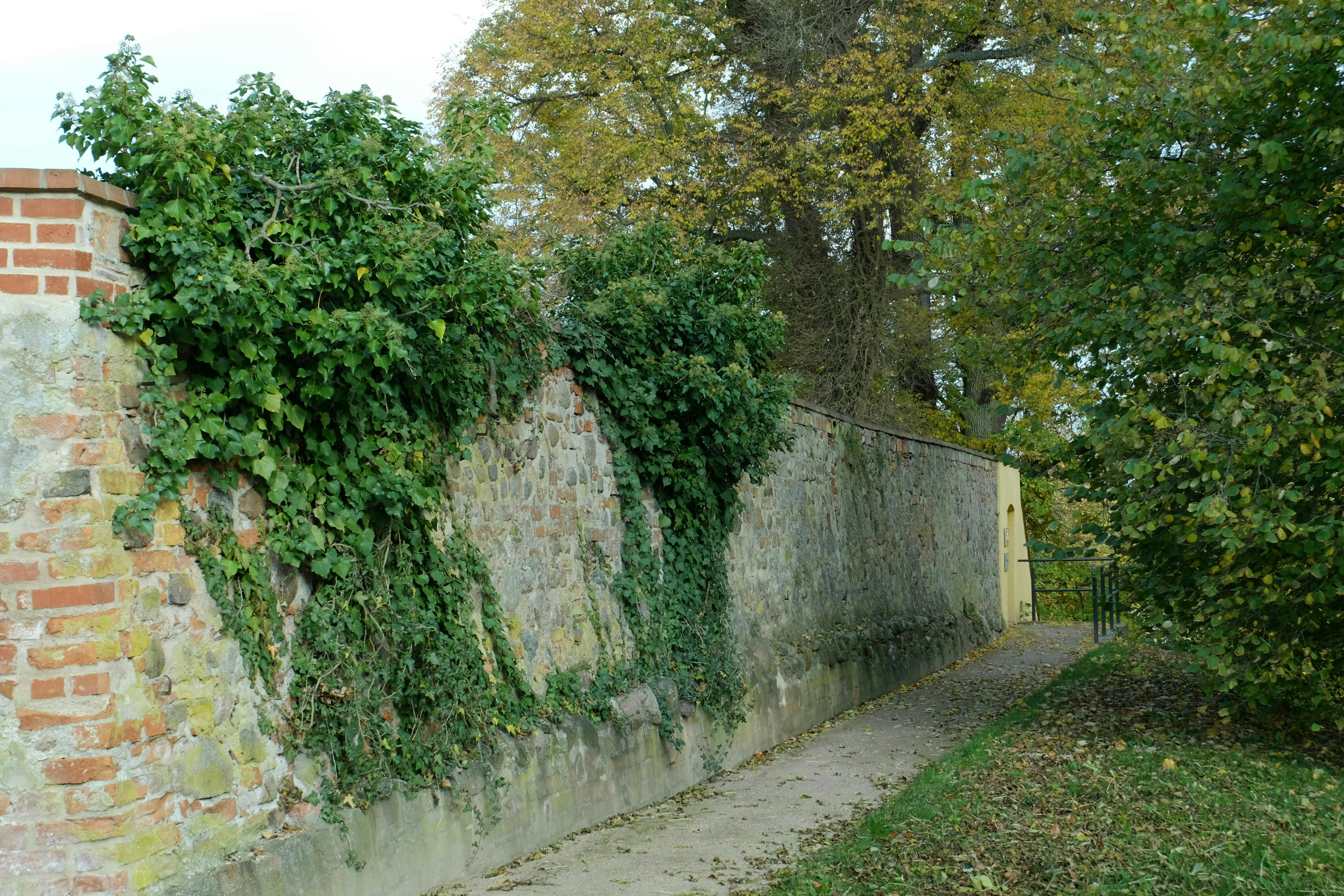 Ücretsiz açık hava yolu, ağaç, Bahçe içeren Ücretsiz stok fotoğraf Stok Fotoğraflar