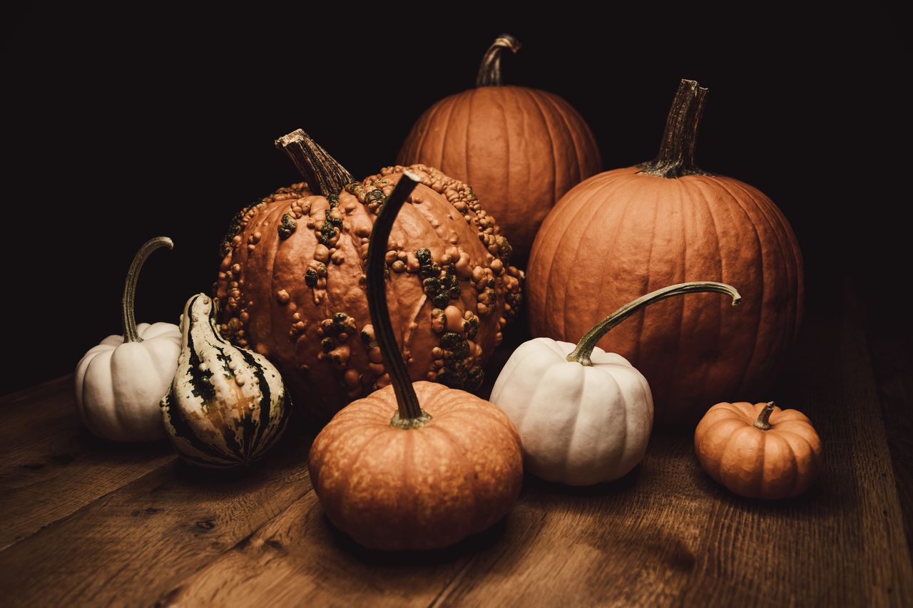 a variety of pumpkins and gourds on a wooden surface perfect for autum