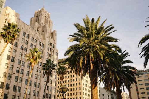 Free Art Deco architecture with palm trees under a sunny sky, capturing urban beauty and design. Stock Photo