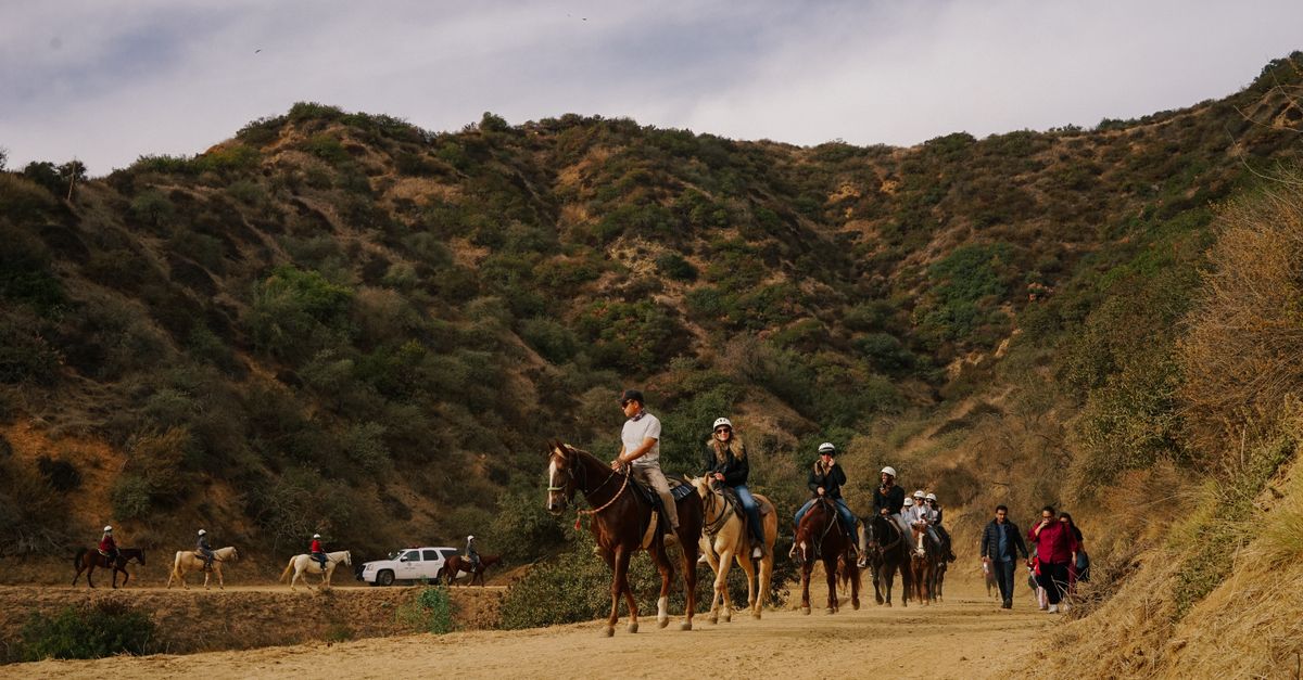 A group of people horseback riding on a canyon trail surrounded by lush hills.