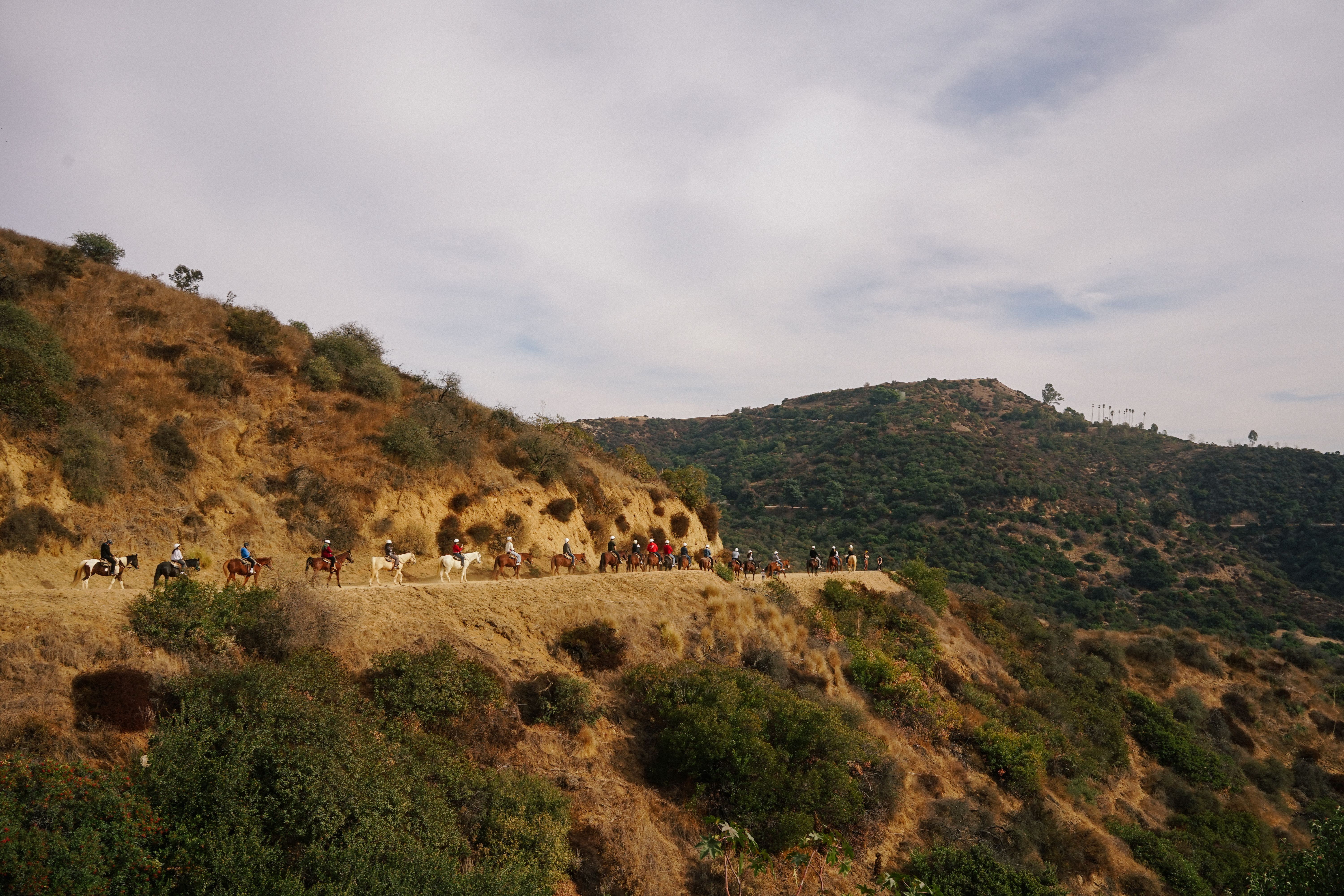 Roosevelt Lodge Cookout & Trail Ride - Barbecue western équestre