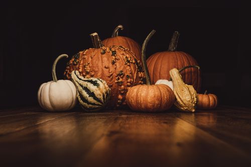 Free A warm, rustic showcase of pumpkins and gourds perfect for fall and Halloween themes. Stock Photo