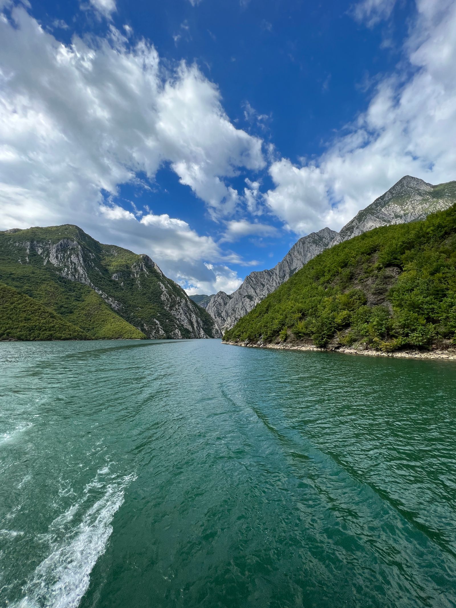 Narrow green gorge of Lake Koman seen from the water, with steep forested mountains