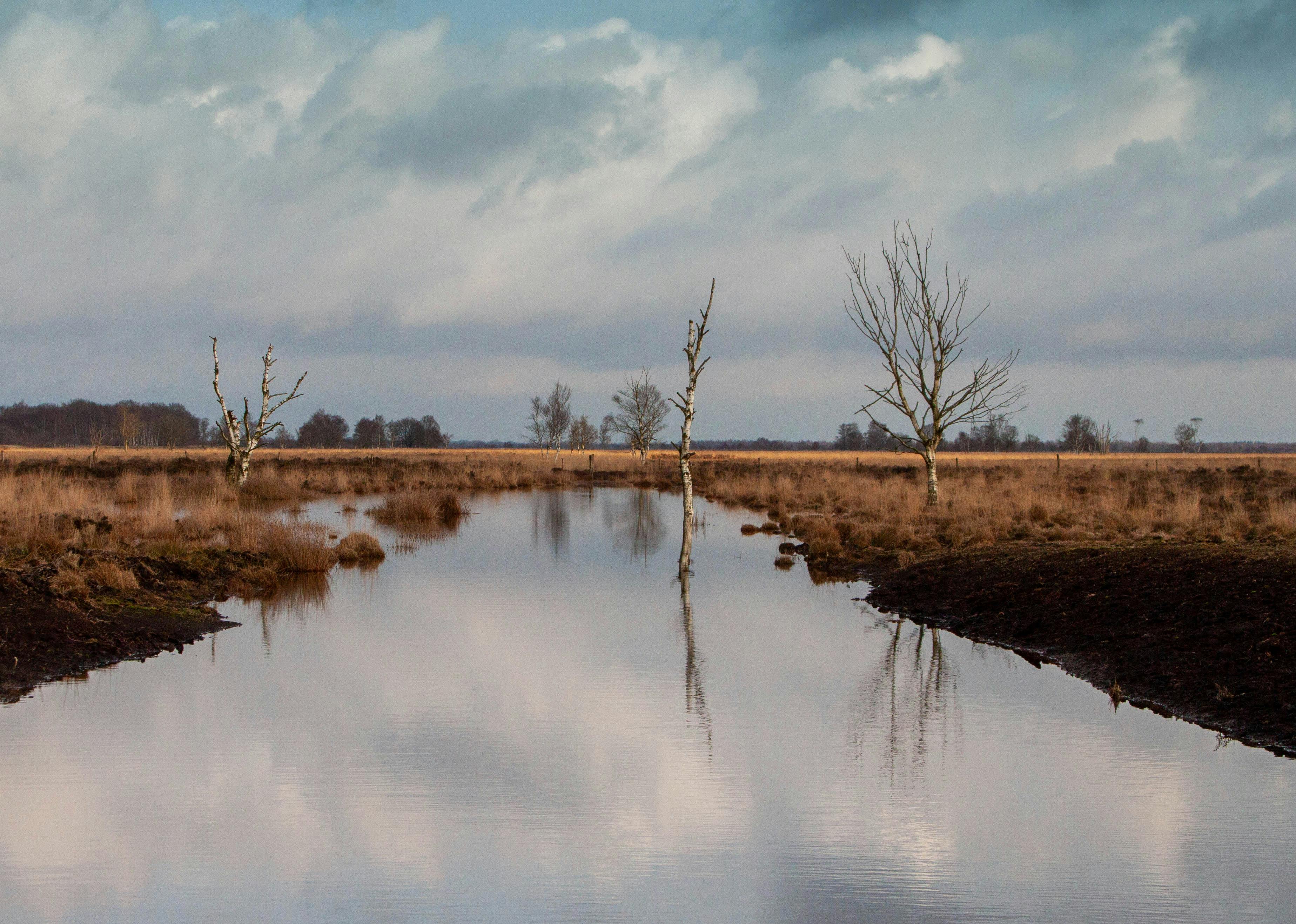 Amtsvenn - Hündfelder Moor