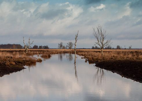 Peaceful moorland vista with a reflective lake, bare trees, and dramatic clouds in Drenthe, Netherlands.