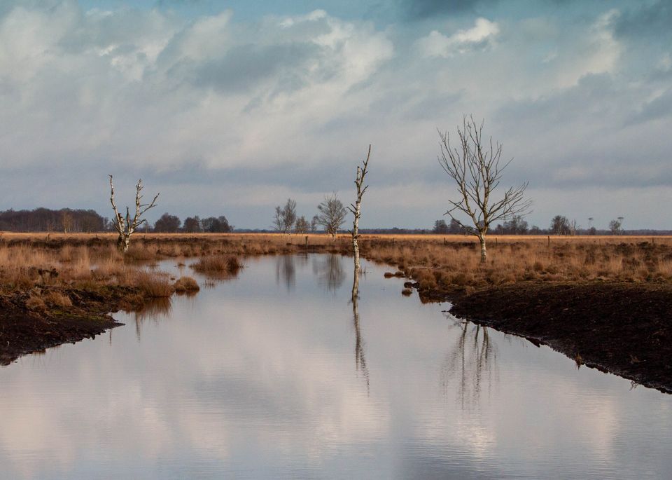 in Drenthe
