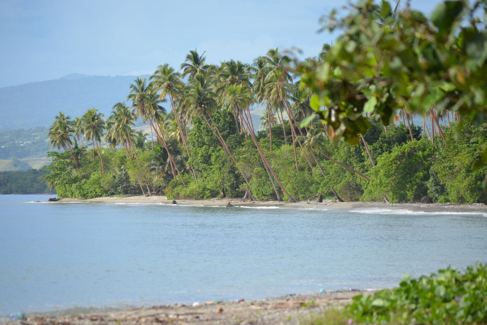 Where to Stay on Vanua Levu (2026): Savusavu Dive-Lodge Picks