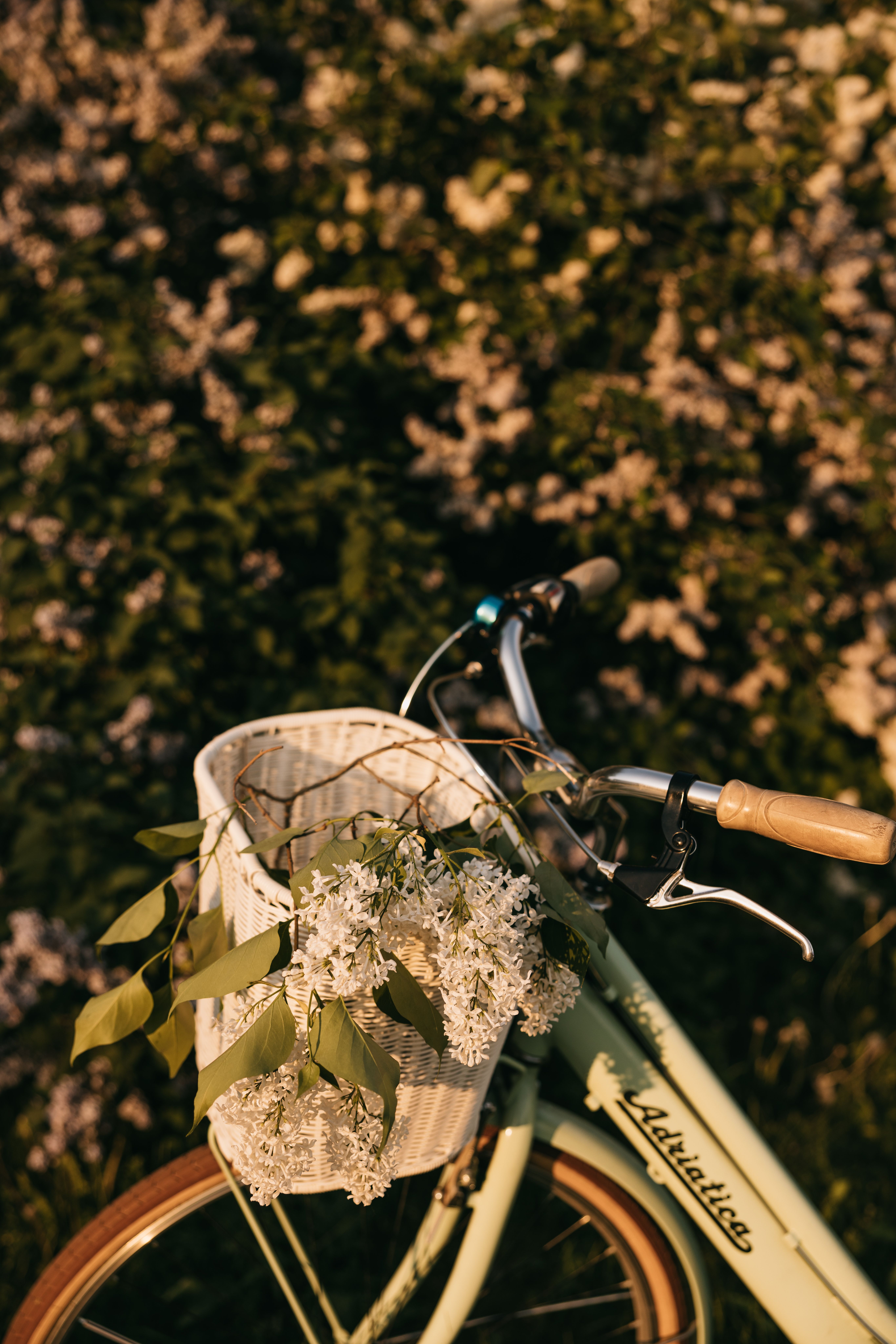 A vintage bicycle with a basket filled with fresh lilac flowers, set against a lush floral background.
