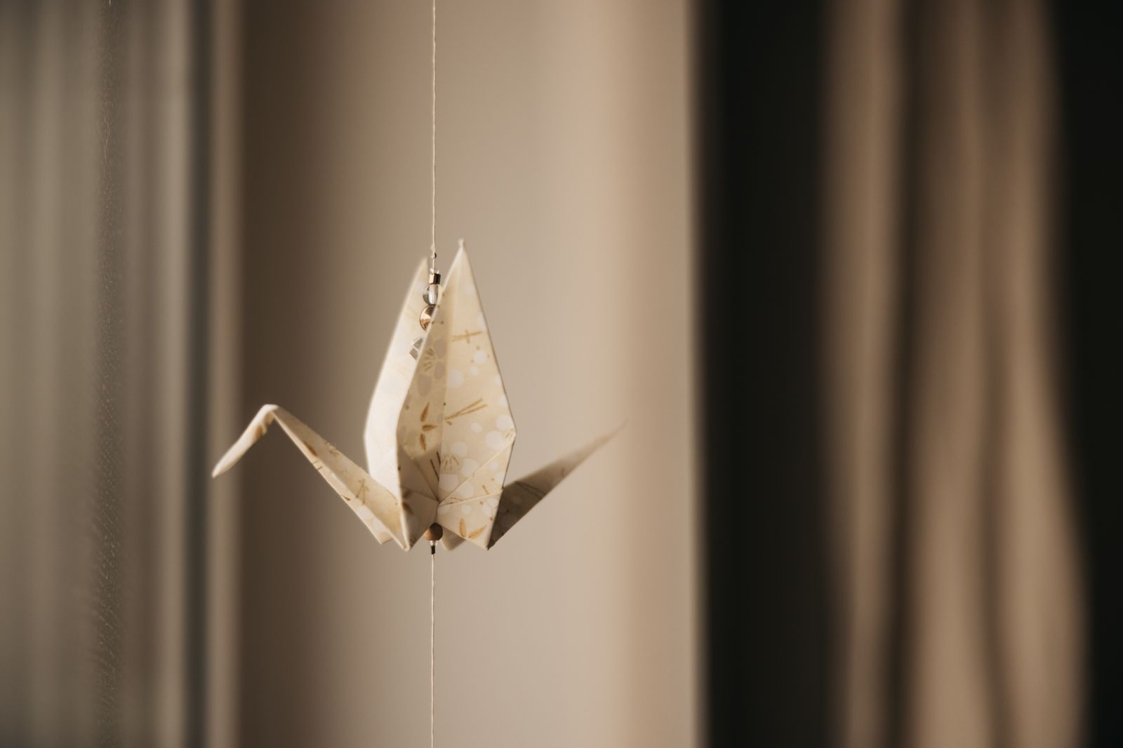 The Paper Fold - Discovering the Art of Origami
