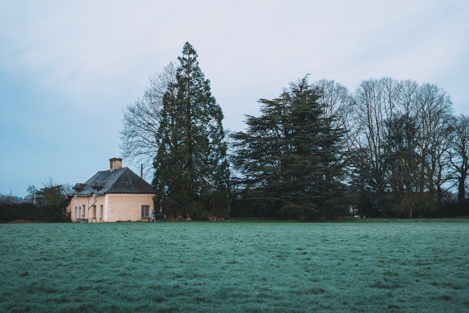 Utiliser l'IA pour rédiger et optimiser votre CV – Design clair, ATS et digital skills