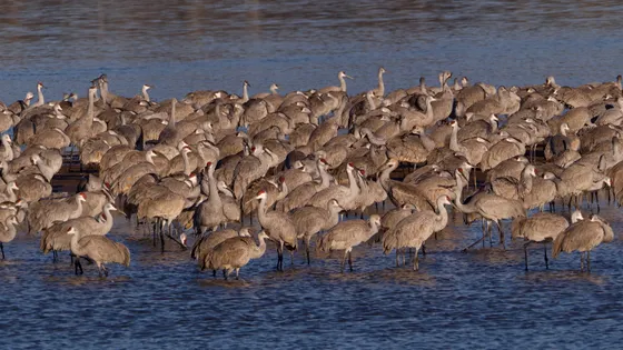 A shallow Sandhills lake on a wildlife refuge near Valentine