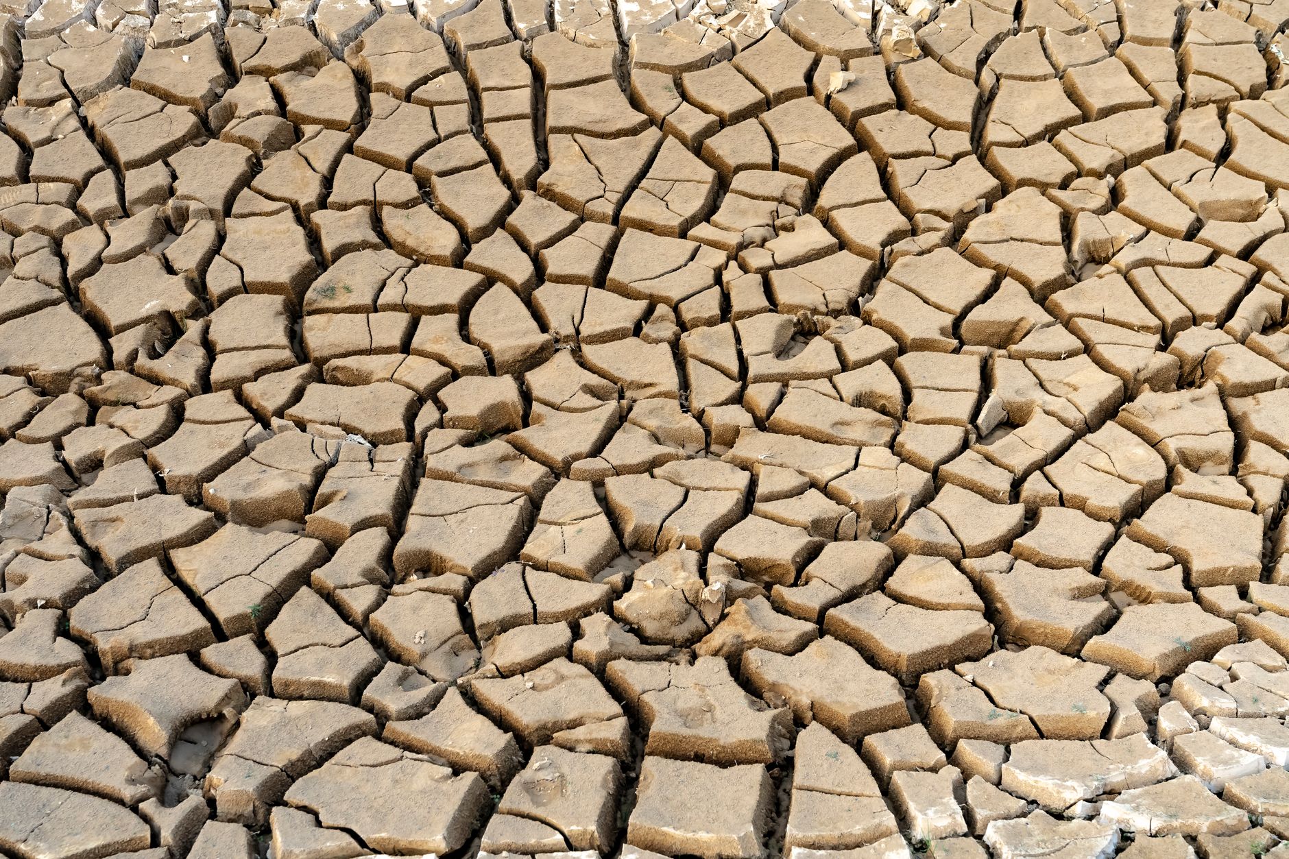 Majority of US's New AI Datacenters to be Built on Drought-Hit Land