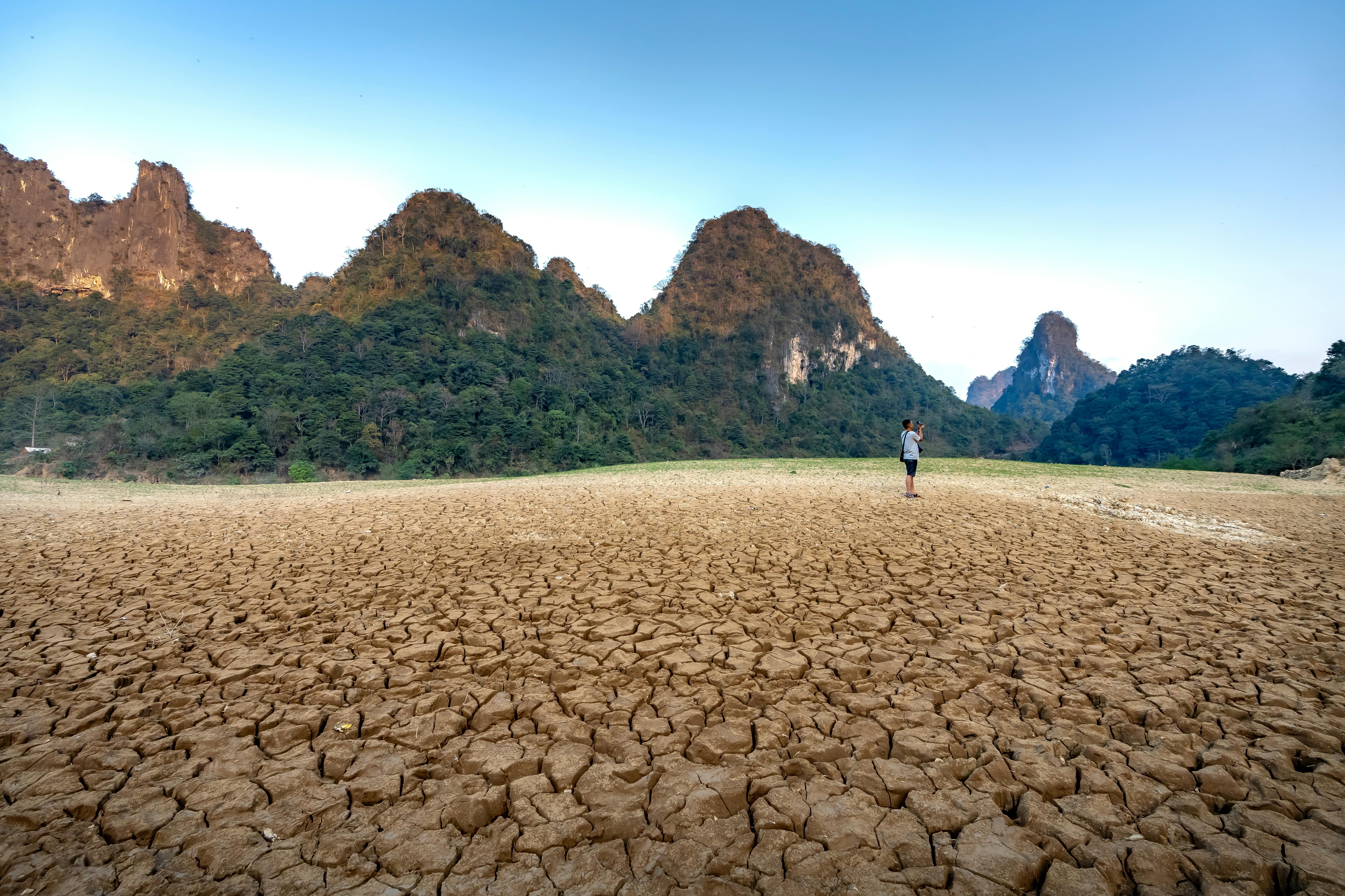 climate resilience — Photo by Quang Nguyen Vinh on Pexels