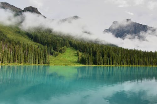 Free Lake Surrounded by Trees Stock Photo