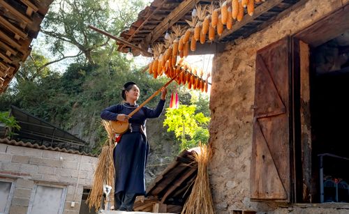 Free Woman plays traditional stringed instrument in a rustic outdoor scene with hanging corn. Stock Photo