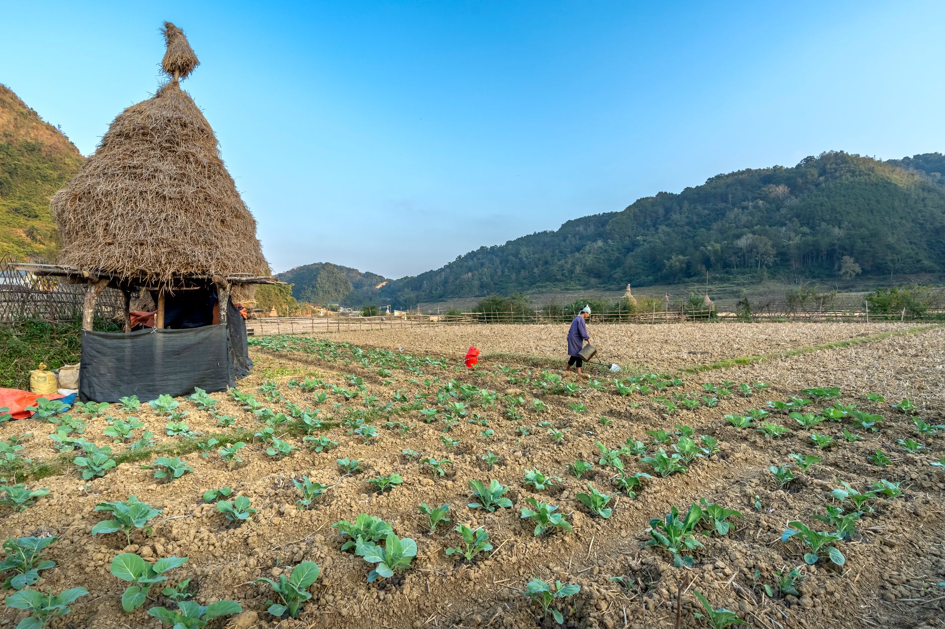 Farmer tending to crops on a rural farm with a traditional thatched hut and mountain backdrop.