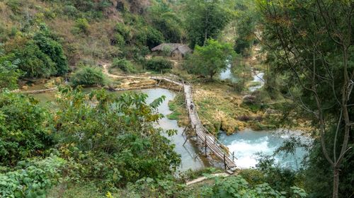 Free A picturesque bamboo bridge spans a tranquil river amidst lush greenery. Stock Photo