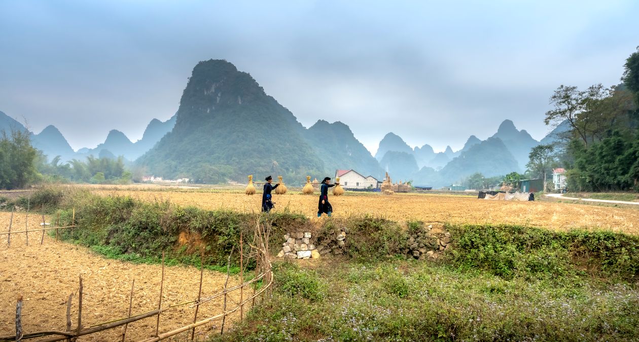 Traditional Farming in Scenic Rural Landscape · Free Stock Photo