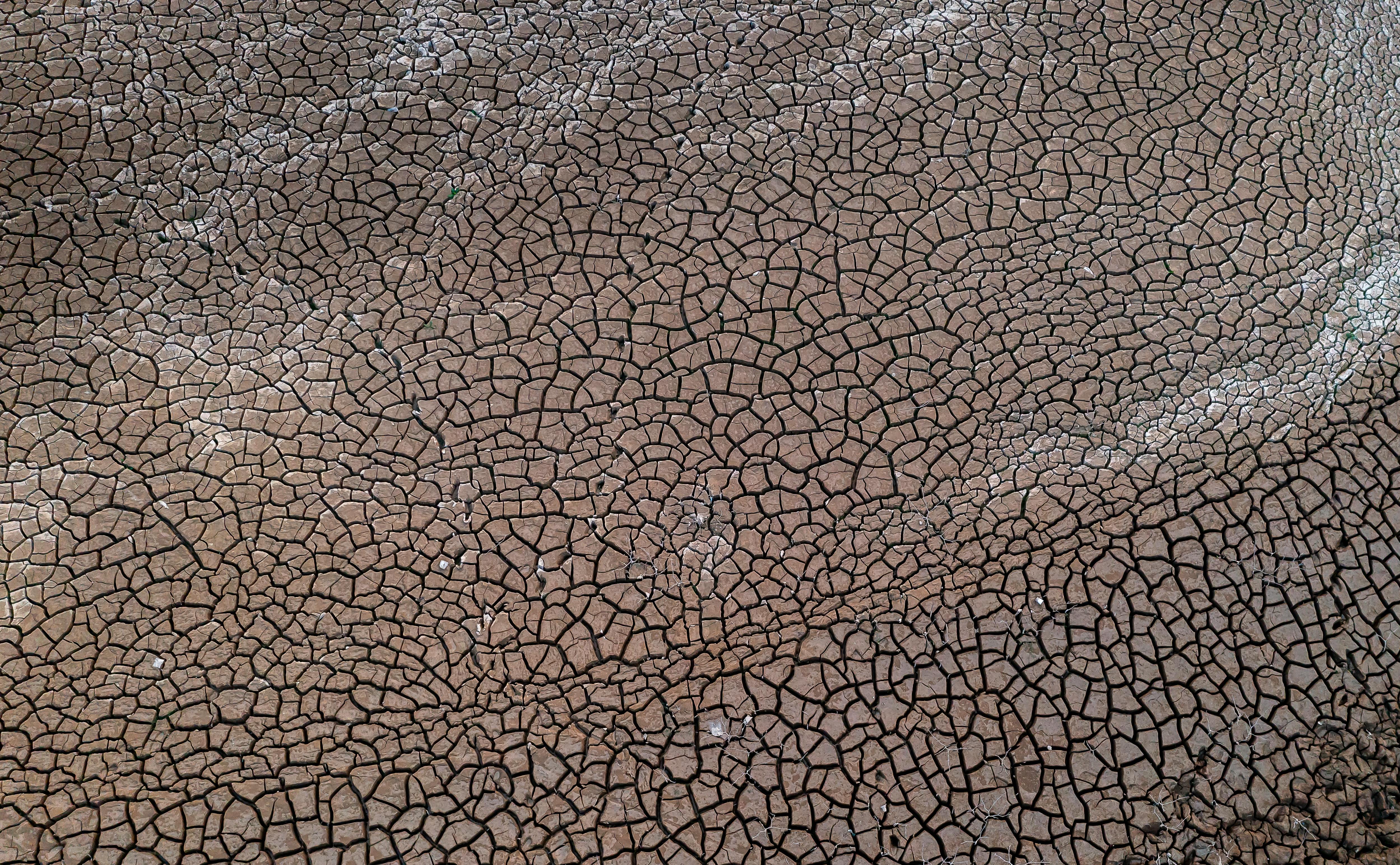 climate resilience drought mitigation — Photo by Quang Nguyen Vinh on Pexels