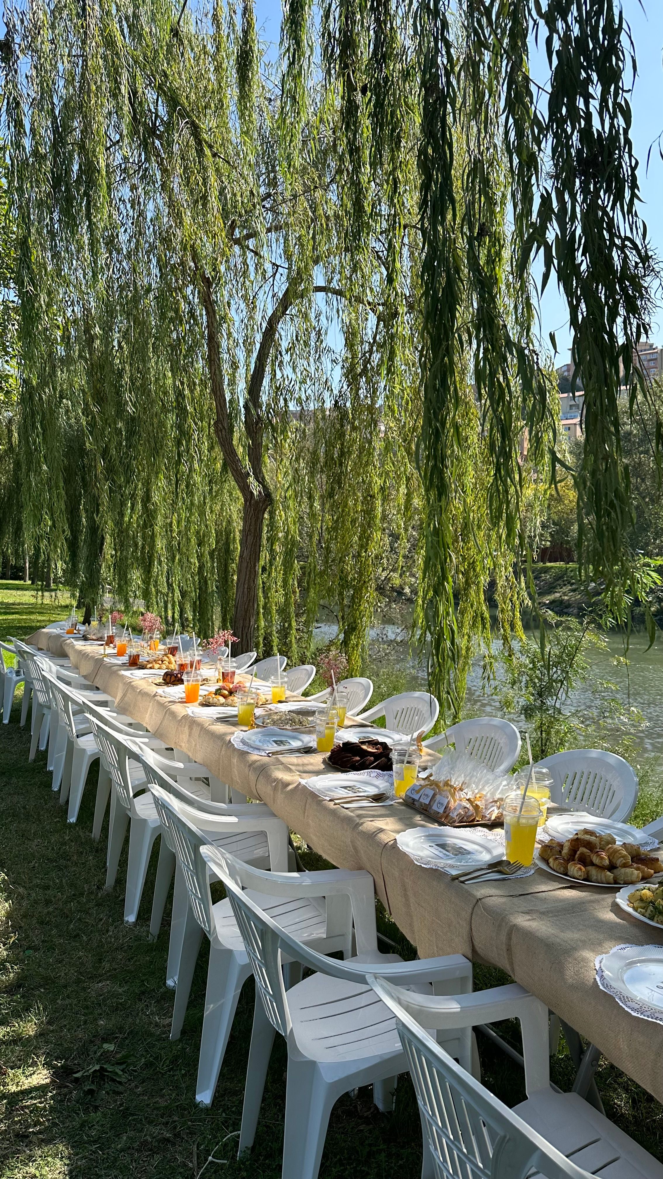7 formas de hacer que una mesa de picnic luzca irresistible — cuál es el propósito de un punto focal?