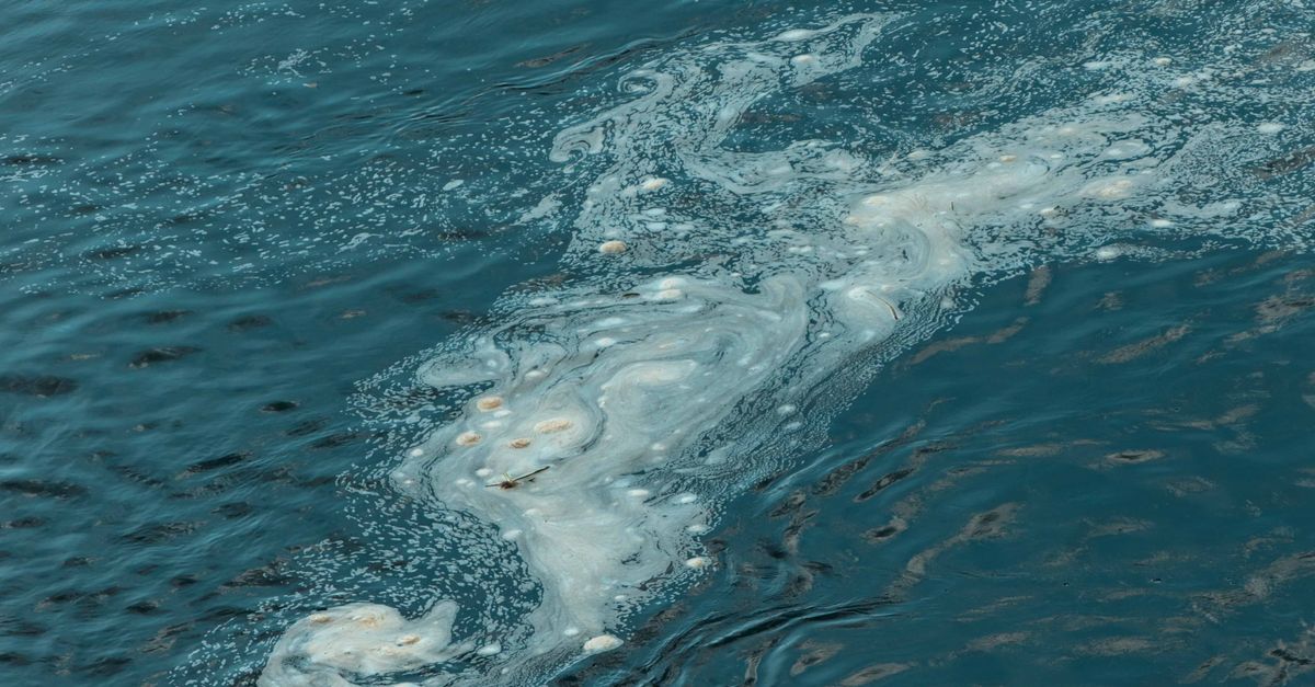 Los 12 casos de contaminación de agua que afectaron a comunidades y ecosistemas enteros Los 12 casos de contaminación de agua que afectaron a comunidades y ecosistemas enteros