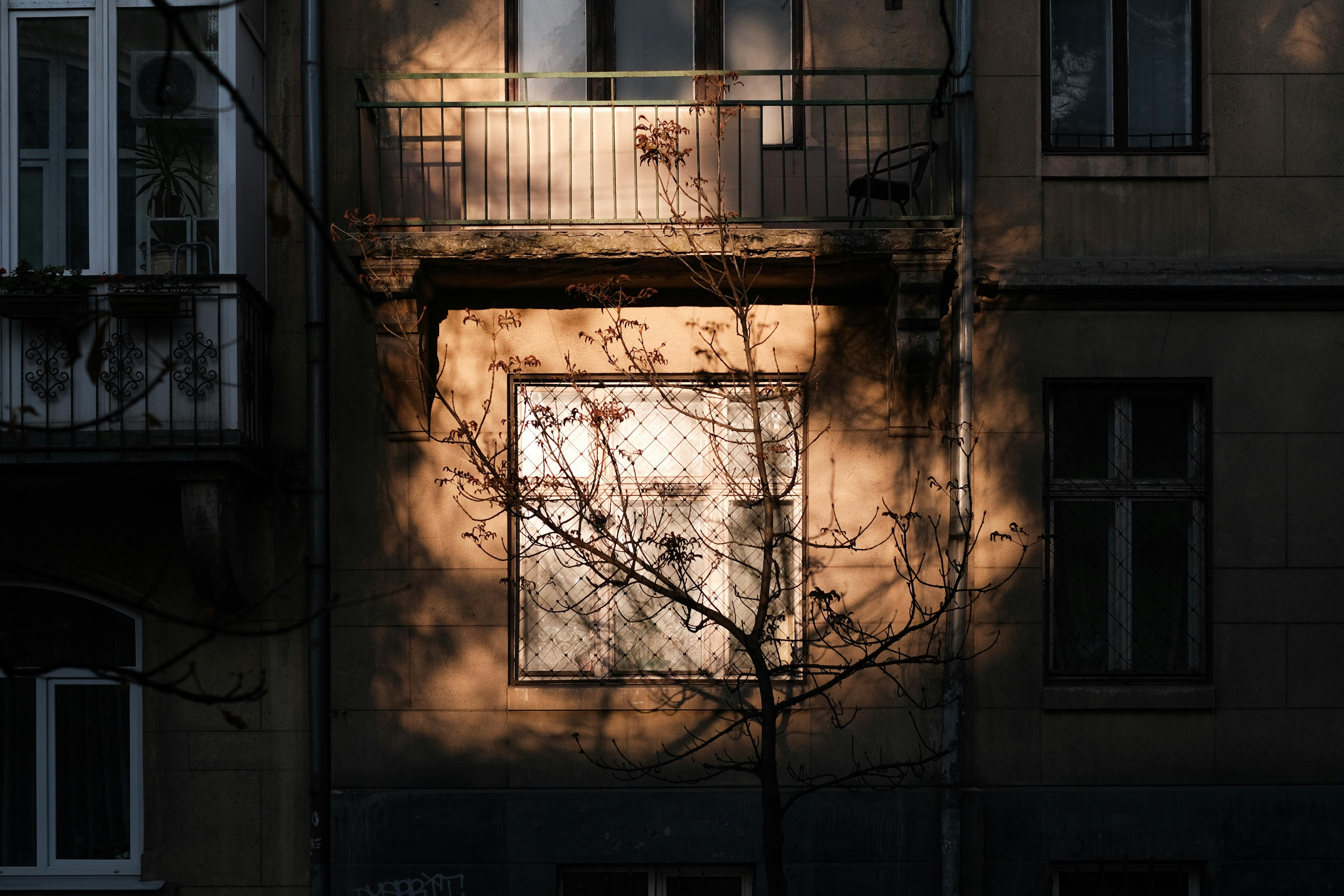 Atmospheric urban facade with shadows and sunlight filtering through bare tree branches.