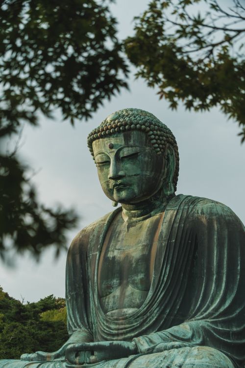 Free Serene view of the Great Buddha statue in Kamakura surrounded by green trees. Stock Photo