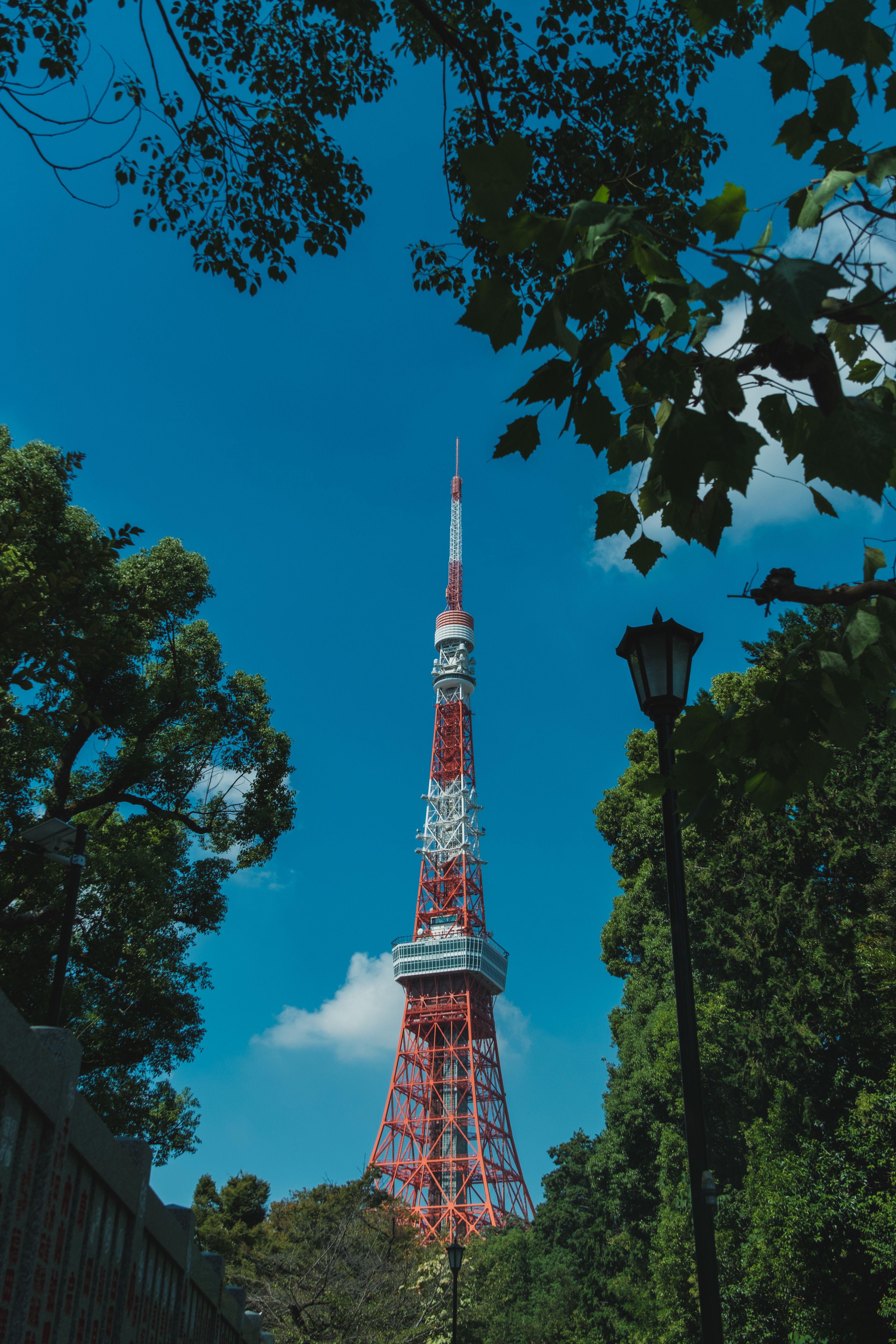 A picturesque view of Tokyo Tower framed by lush greenery under a clear blue sky.