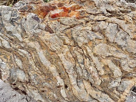 Detailed view of a layered metamorphic rock showcasing unique textures and colors.