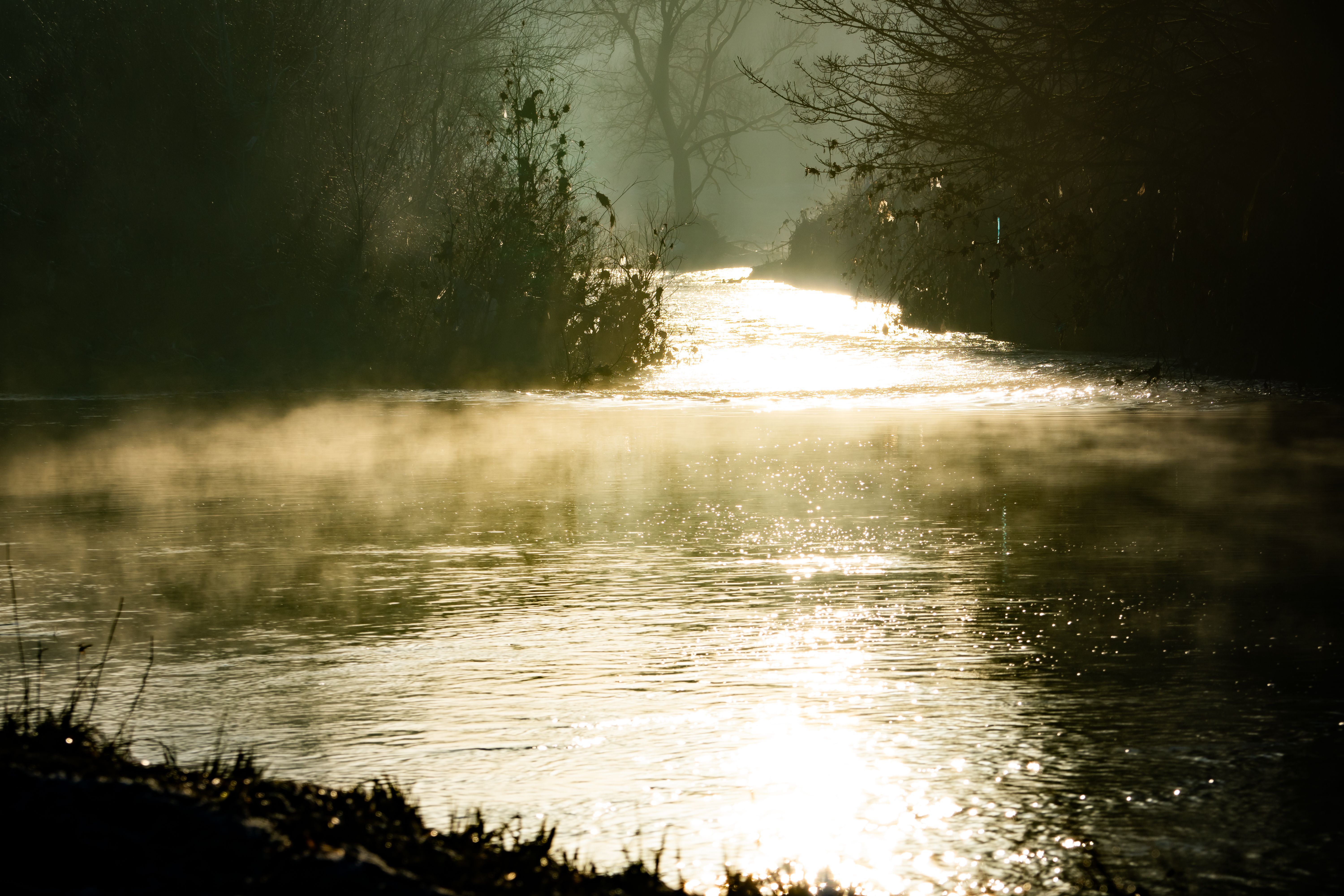 Serene Misty River at Sunrise · Free Stock Photo