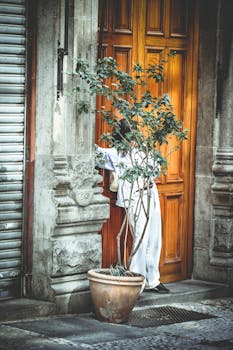 A person stands partially hidden behind a potted plant in front of a wooden door on a city street.