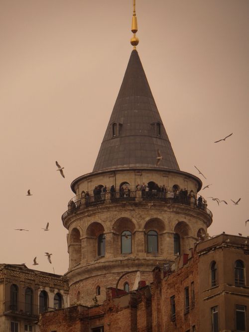 Free Galata Tower in Istanbul with seagulls soaring at sunset, showcasing architectural beauty. Stock Photo