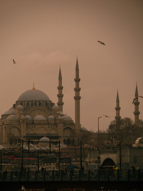 Free Atmospheric view of Suleymaniye Mosque with birds flying in Istanbul at dusk. Stock Photo