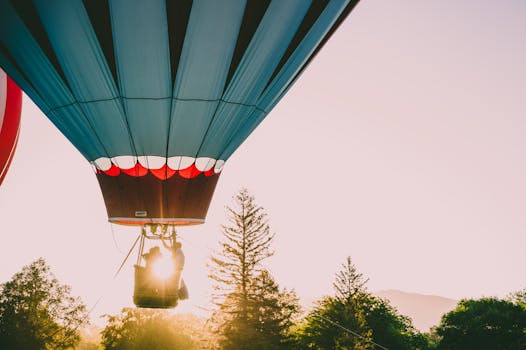 日出时分，热气球翱翔于林梢之上，捕捉着宁静的冒险与自然美景