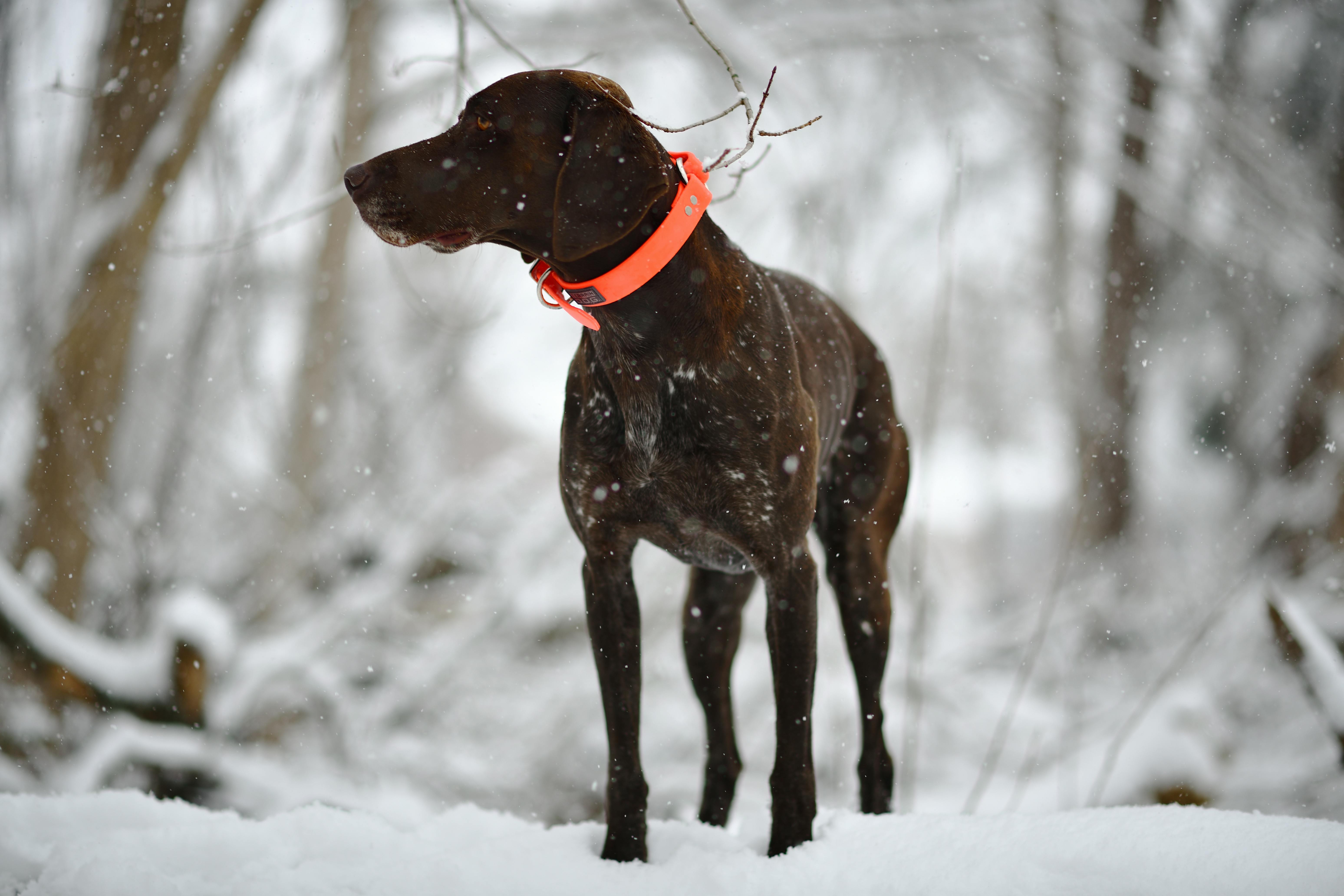 All-Canada Show promotes hunting, fishing and outdoor adventure — Photo by Brixiv on Pexels