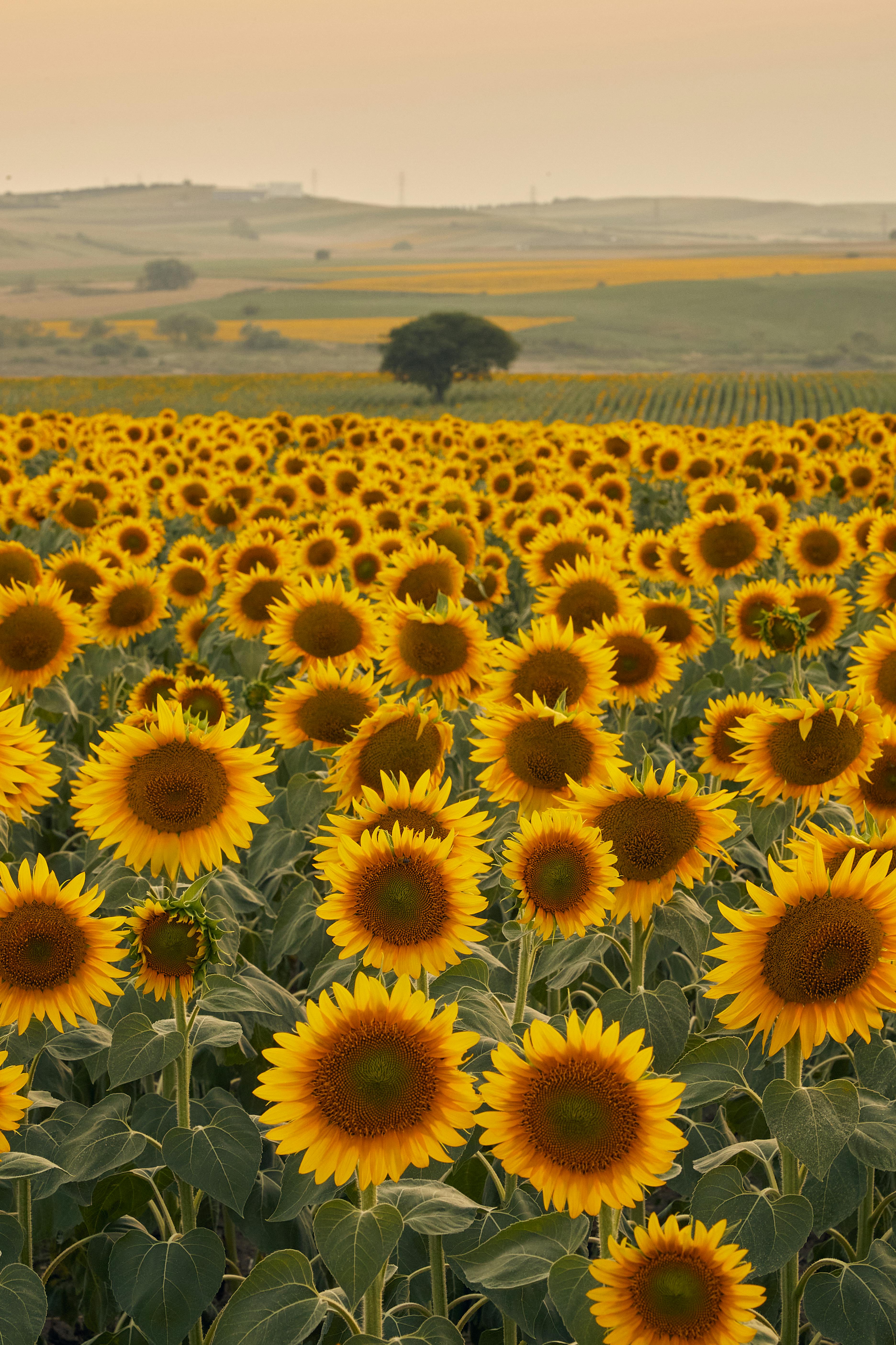 Теплый пол: преимущества, виды и особенности установки