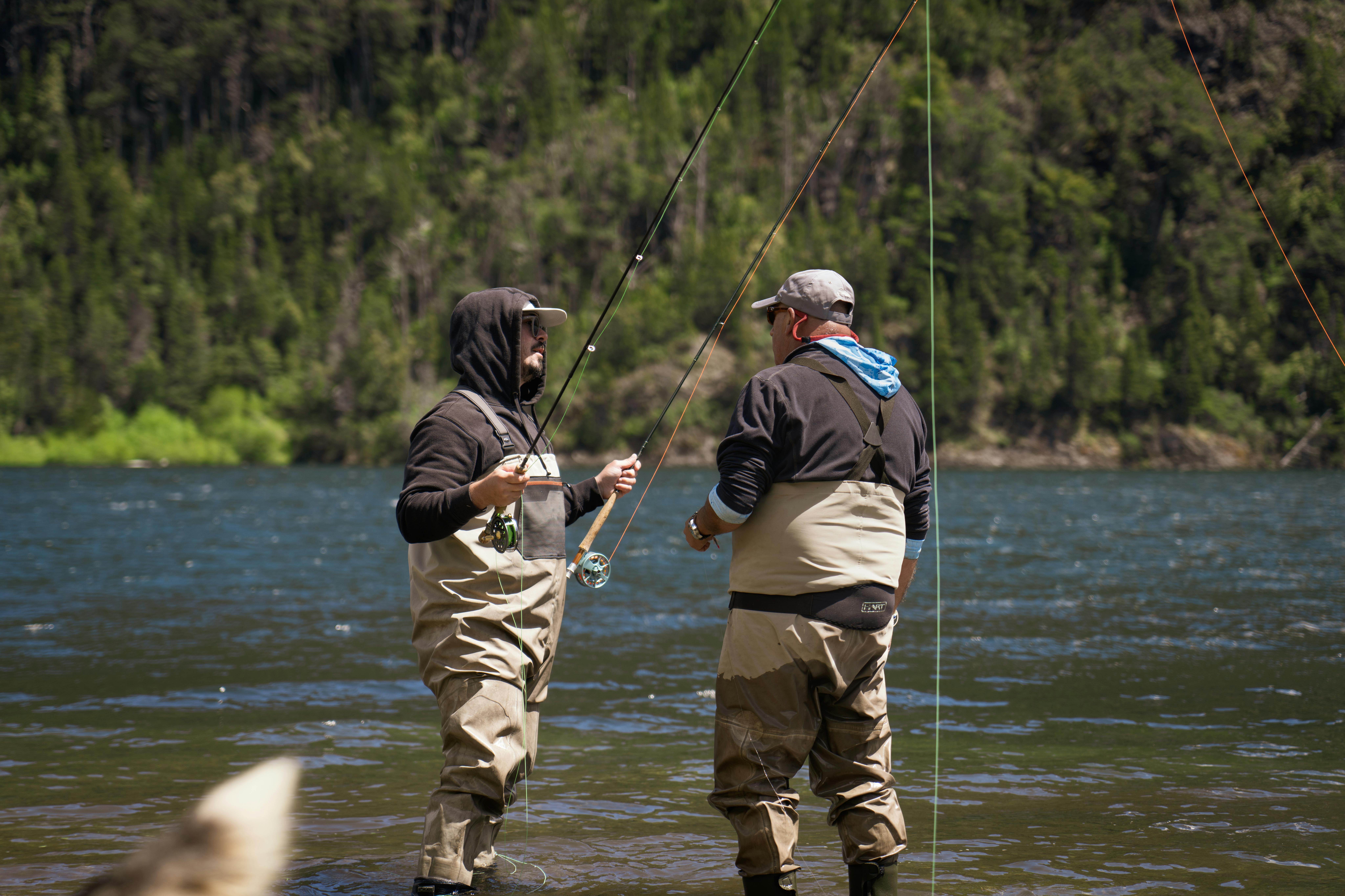 QCCA Fishing, Hunting and Outdoor Adventure Show returns this weekend — Photo by Martin.que on Pexels