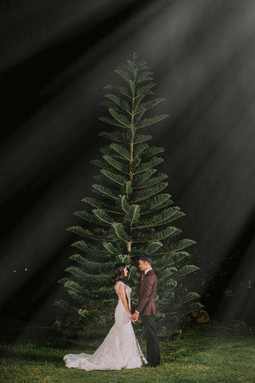 Мужчина и женщина, стоящие у дерева