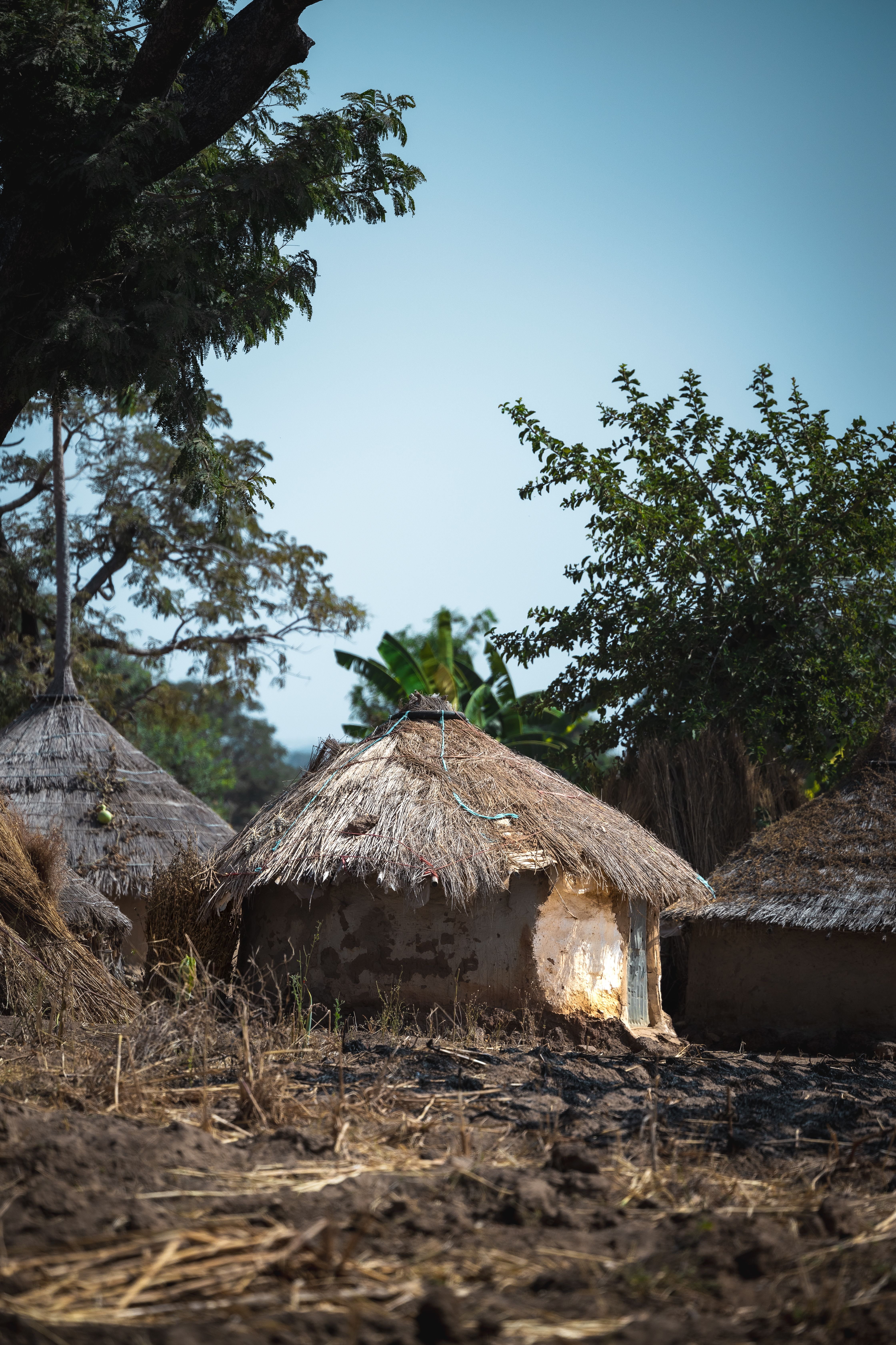 Rustic Huts in Rural Karshi, Nigeria · Free Stock Photo