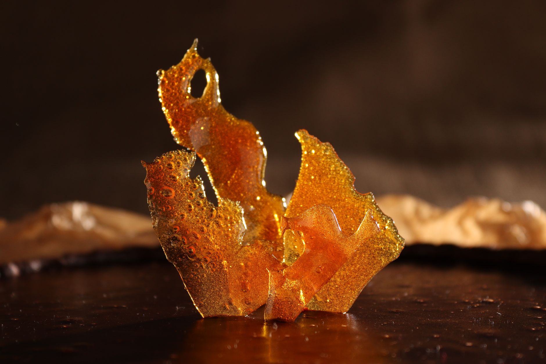 Creative sugar art decoration on chocolate cake, glowing in warm light.