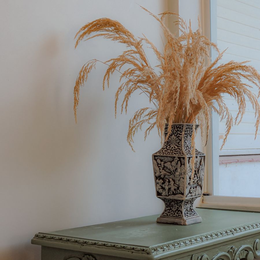 Pampas grass in a vase