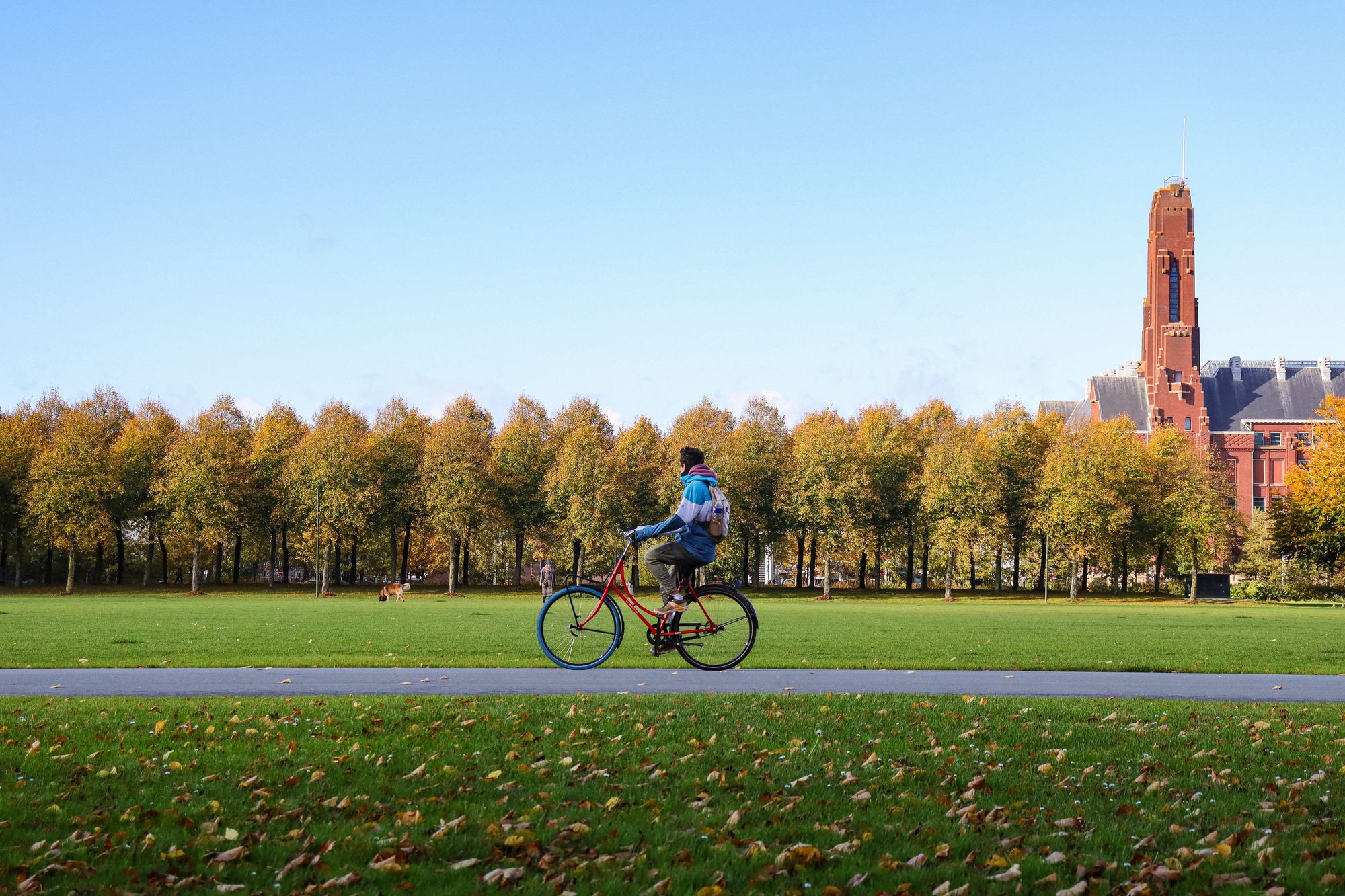 A cyclist riding through a park under autumn foliage