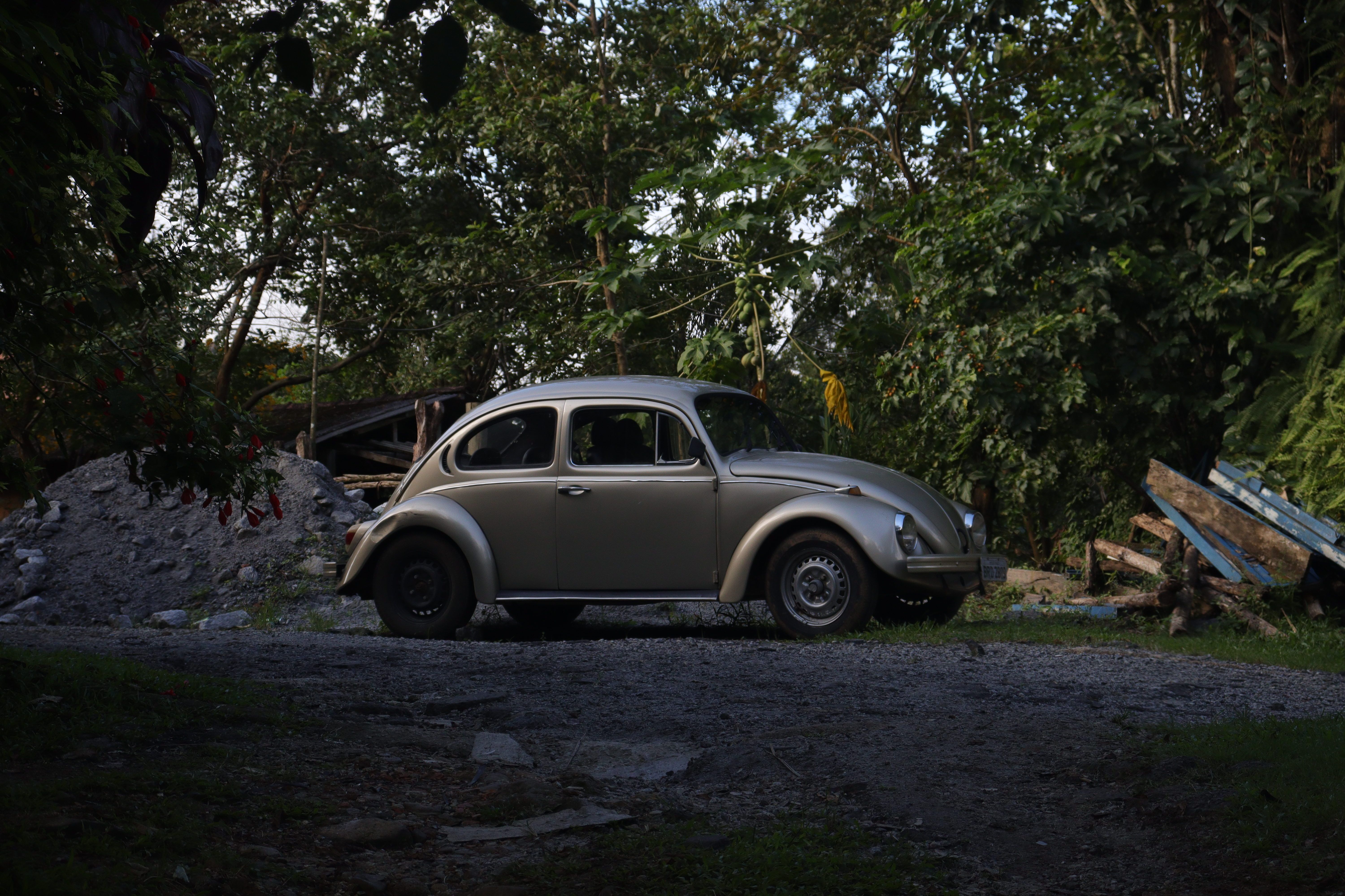 Vintage Beetle Car Parked in Green Rural Setting · Free Stock Photo