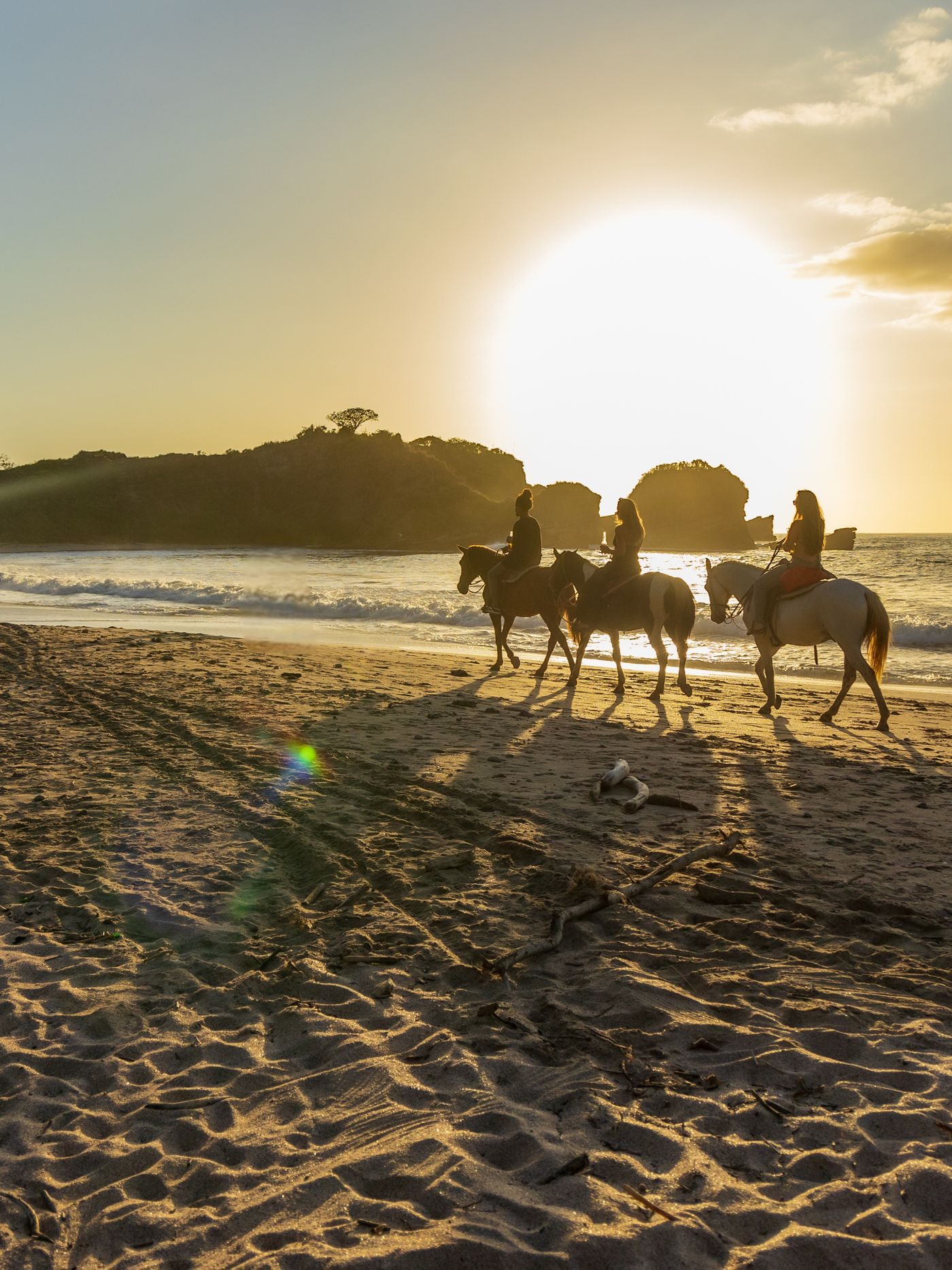 Horseback Riding experience image 2